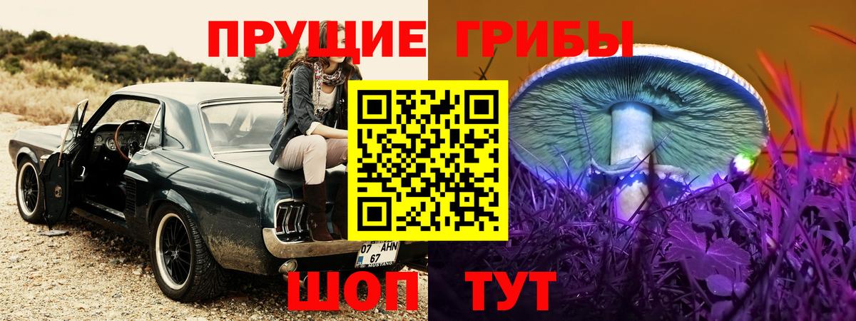 Галлюциногенные грибы MAGIC MUSHROOMS Лениногорск